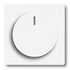 Expressleverans Centrumplatta